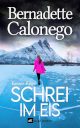 Cover_Schrei im Eis_Thumb_zeigt Frau, die allein in einer Eislandschaft herumläuft, darüber ein düsterer, schwarzer Himmel