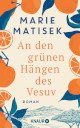 Cover_An den grünen Hängen des Vesuv_Thumb_zeigt Bleistiftzeichnung vom Vesuv und Orangen